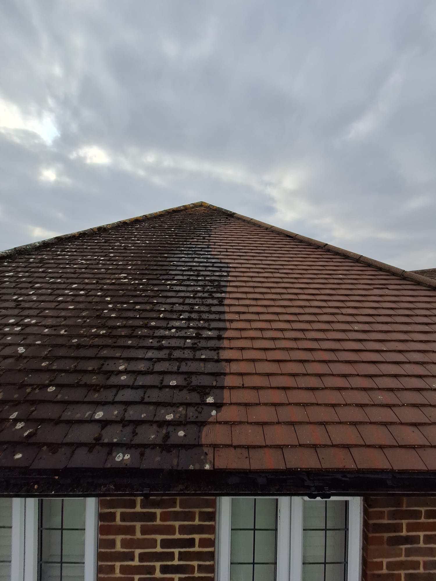 Gutter & Roof Cleaning